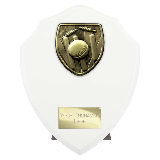 Picture of Cobra Shield Cricket Award Arctic White 175mm