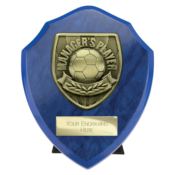 Picture of Cobra Shield Managers Player Award Azure Blue 125mm