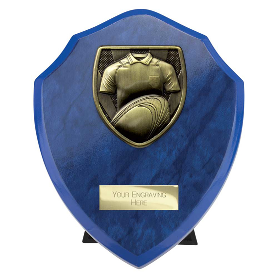 Picture of Cobra Shield Rugby Shirt & Ball Award Azure Blue 150mm