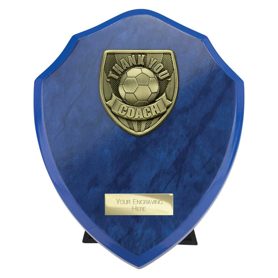 Picture of Cobra Shield Thank you Coach Award Azure Blue 175mm