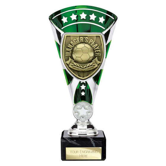 Picture of Cobra Star Cup Managers Player Silver & Green 210mm