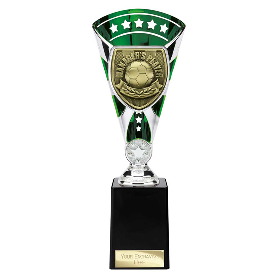 Picture of Cobra Star Cup Managers Player Silver & Green 255mm