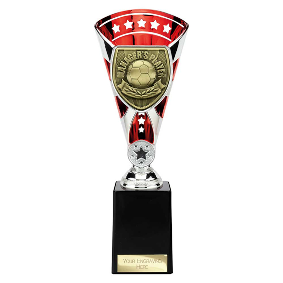 Picture of Cobra Star Cup Managers Player Silver & Red 255mm