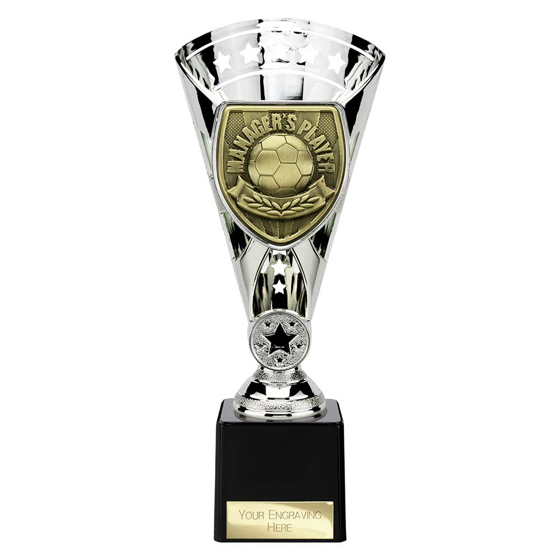 Picture of Cobra Star Cup Managers Player Silver 230mm