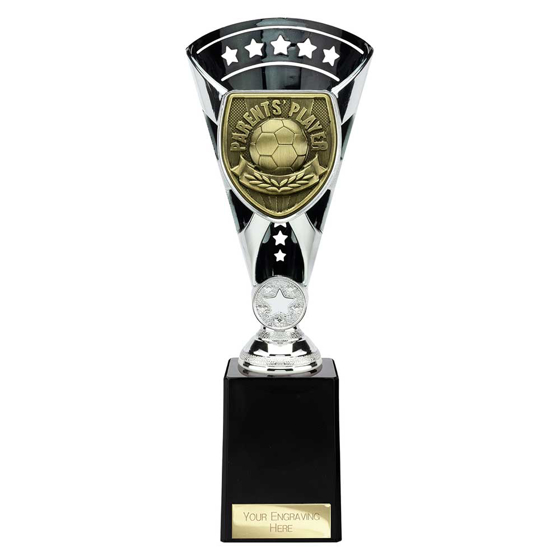 Picture of Cobra Star Cup Parents Player Silver & Black 255mm