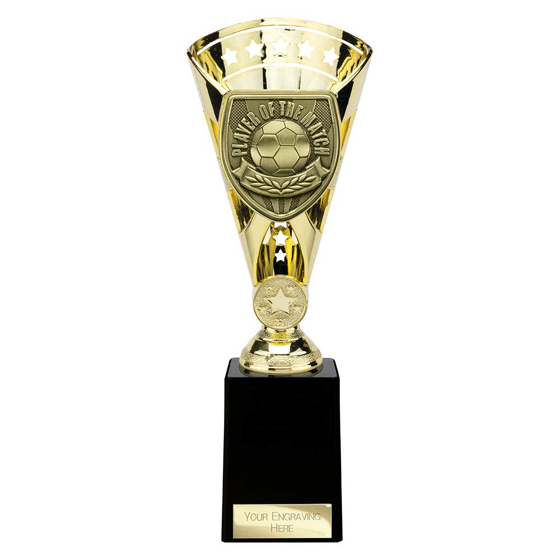 Picture of Cobra Star Cup Player of Match Gold 255mm