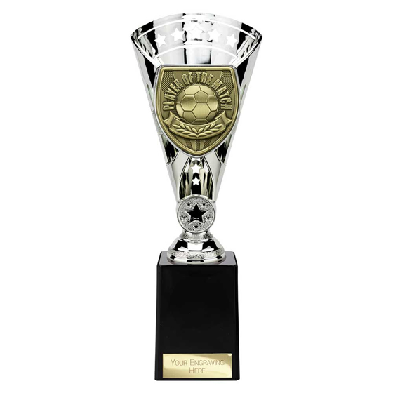 Picture of Cobra Star Cup Player of Match Silver 255mm