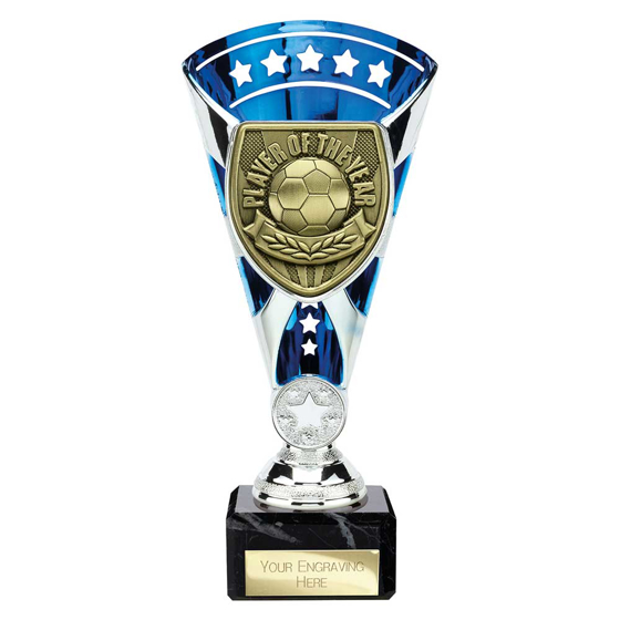 Picture of Cobra Star Cup Player of Year Silver & Blue 210mm