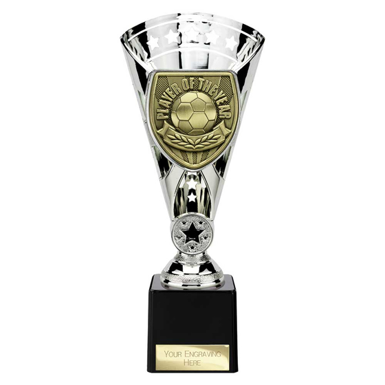 Picture of Cobra Star Cup Player of Year Silver 230mm