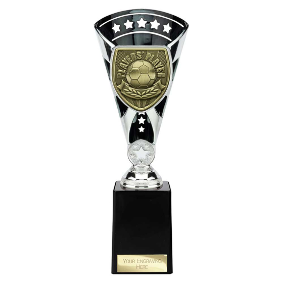 Picture of Cobra Star Cup Players Player Silver & Black 255mm