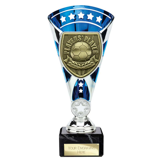 Picture of Cobra Star Cup Players Player Silver & Blue 210mm