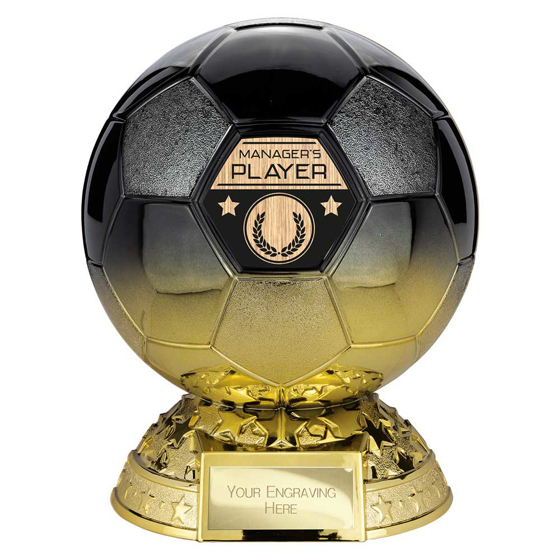 Picture of Elite Heavyweight Managers Player Award Carbon Black to Gold 185mm