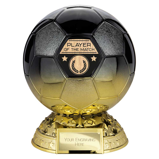 Picture of Elite Heavyweight Player of Match Award Carbon Black to Gold 185mm