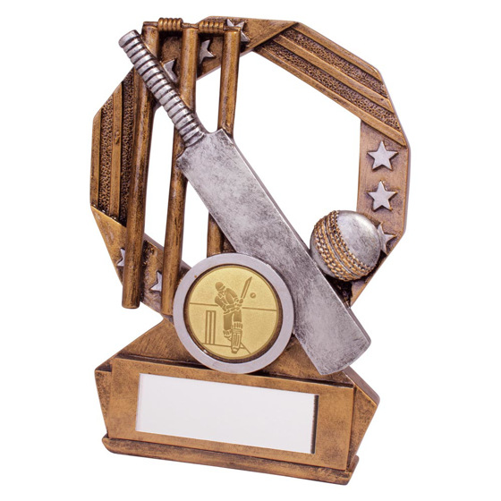 Picture of Enigma Cricket Award 120mm