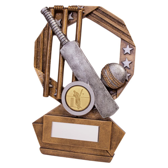 Picture of Enigma Cricket Award 155mm