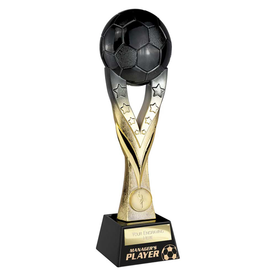 Picture of Extreme Football Managers Player Award Carbon Black & Gold 290mm