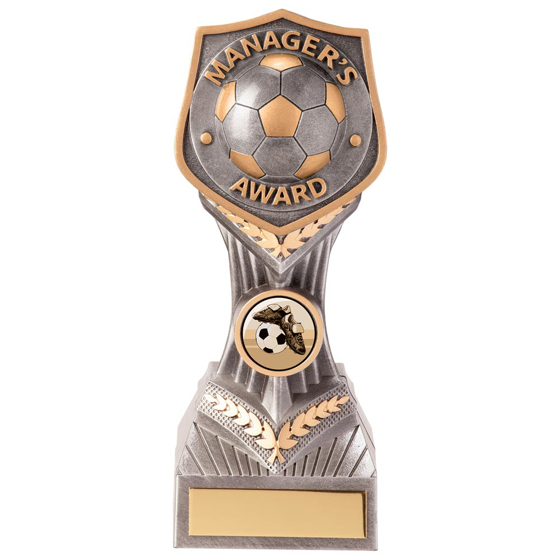 Picture of Falcon Football Manager's Award 180mm