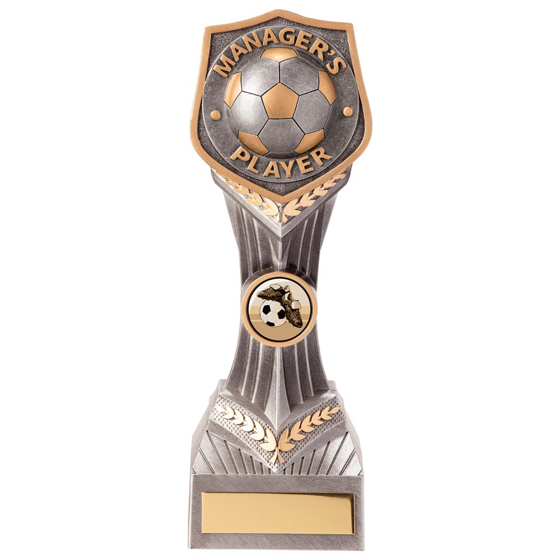 Picture of Falcon Football Manager's Player Award 210mm