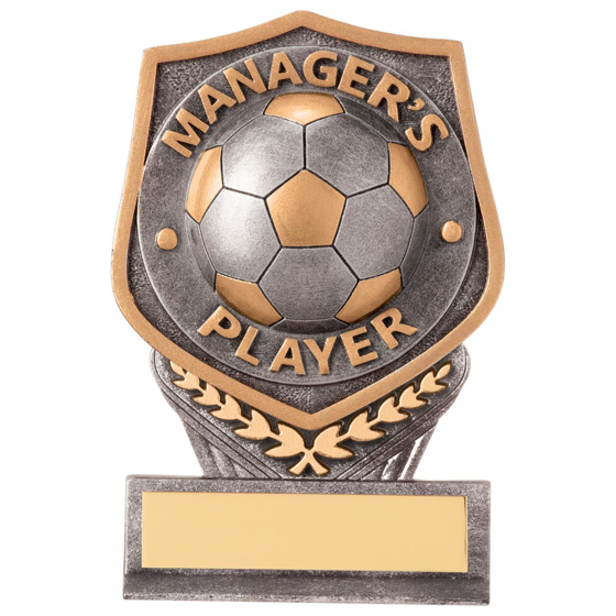 Picture of Falcon Football Manager's Player Plaque Award 105mm