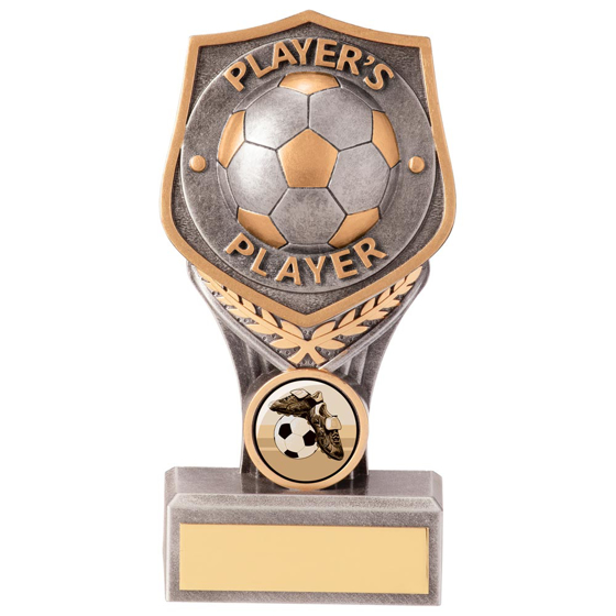 Picture of Falcon Football Player's Player Award 140mm