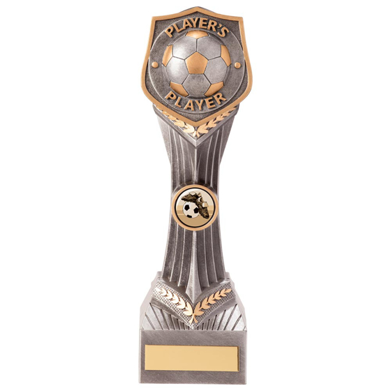 Picture of Falcon Football Player's Player Award 240mm