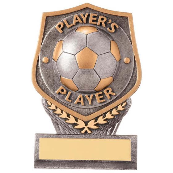 Picture of Falcon Football Player's Player Plaque Award 105mm