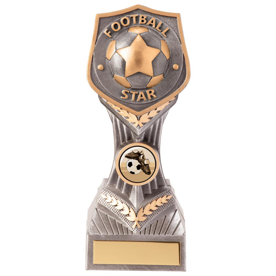 Picture of Falcon Football Star Award 180mm