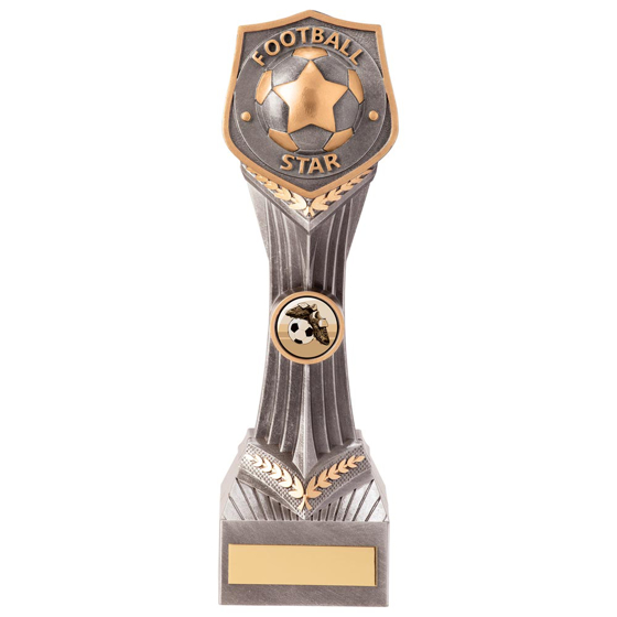 Picture of Falcon Football Star Award 240mm