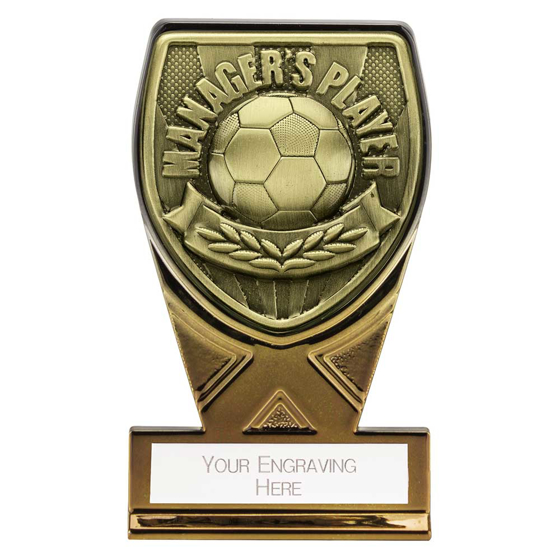 Picture of Fusion Cobra Managers Player Plaque Award Black & Gold 110mm