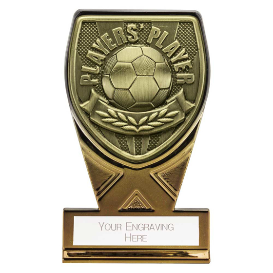 Picture of Fusion Cobra Players Player Plaque Award Black & Gold 110mm