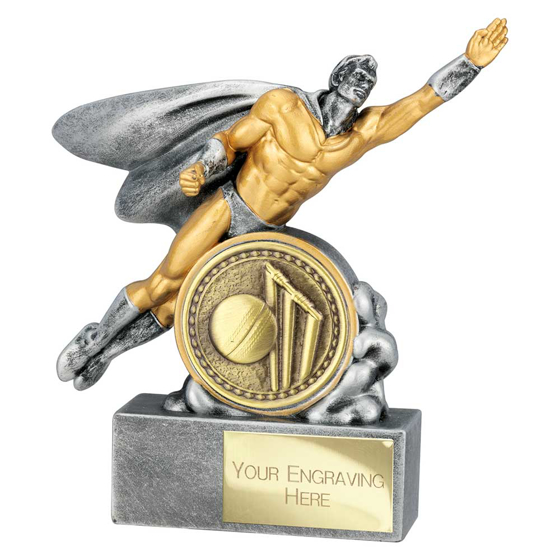 Picture of Hero Male Cricket Award Antique Silver 140mm