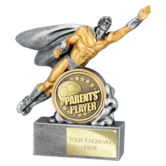 Picture of Hero Male Parents Player Award Antique Silver 140mm