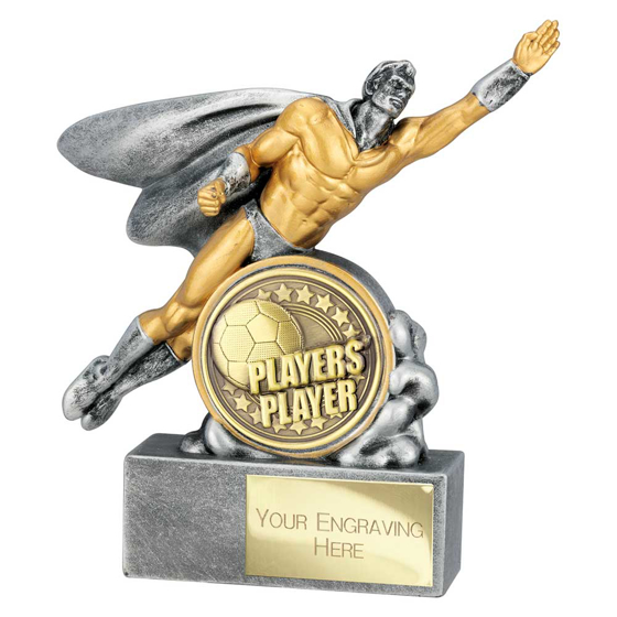 Picture of Hero Male Players Player Award Antique Silver 140mm