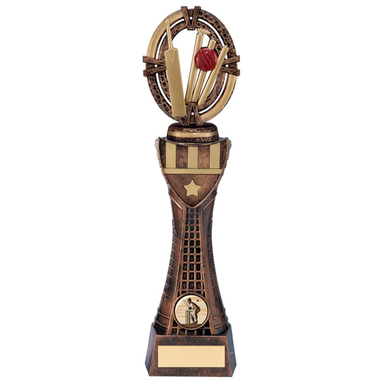 Picture of Maverick Cricket Heavyweight Award 290mm