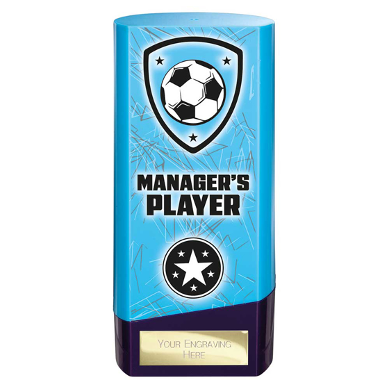 Picture of Prime Heavyweight Managers Player Blue & Purple 160mm