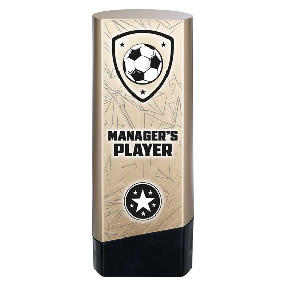 Picture of Prime Heavyweight Managers Player Gold & Black 190mm