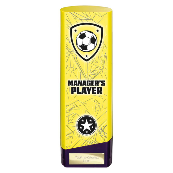 Picture of Prime Heavyweight Managers Player Yellow & Purple 220mm