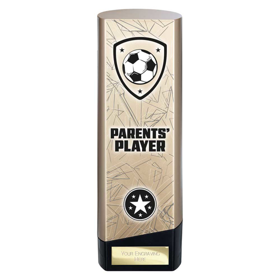 Picture of Prime Heavyweight Parents Player Gold & Black 220mm