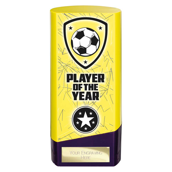 Picture of Prime Heavyweight Player of Year Yellow & Purple 160mm