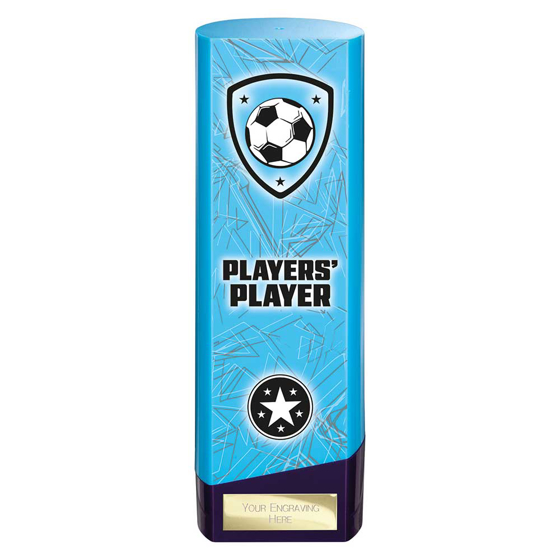 Picture of Prime Heavyweight Players Player Blue & Purple 220mm