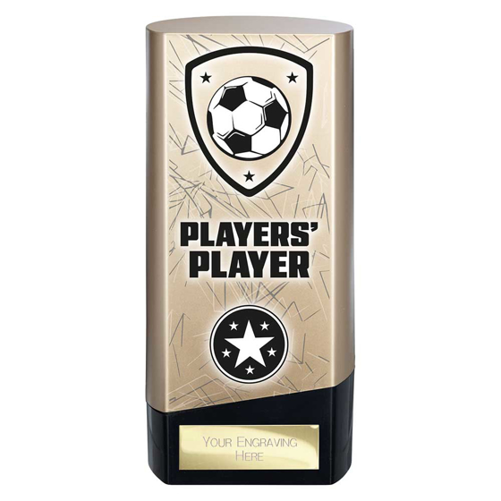 Picture of Prime Heavyweight Players Player Gold & Black 160mm