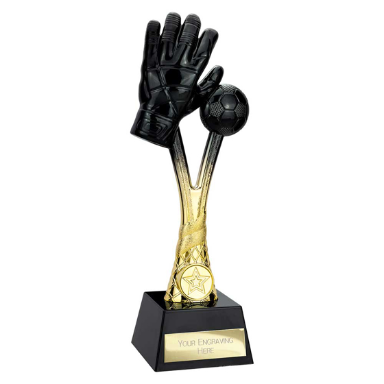 Picture of Raider Goalkeeper Award Carbon Black & Gold 260mm