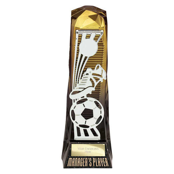 Picture of Shard Football Managers Player Award Gold to Black 230mm