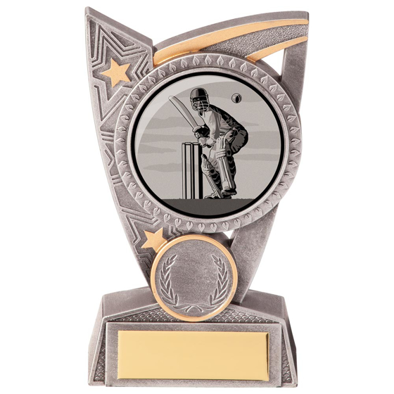 Picture of Triumph Cricket Award 125mm