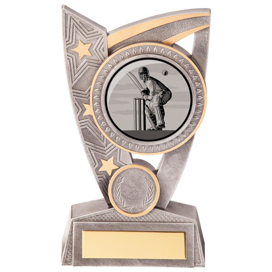 Picture of Triumph Cricket Award 150mm