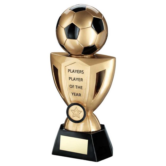 Picture of Gold/black Football On Cup With Plate (1in Centre) Players Player - 10in